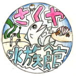 2025咲くやこの花芸術合格